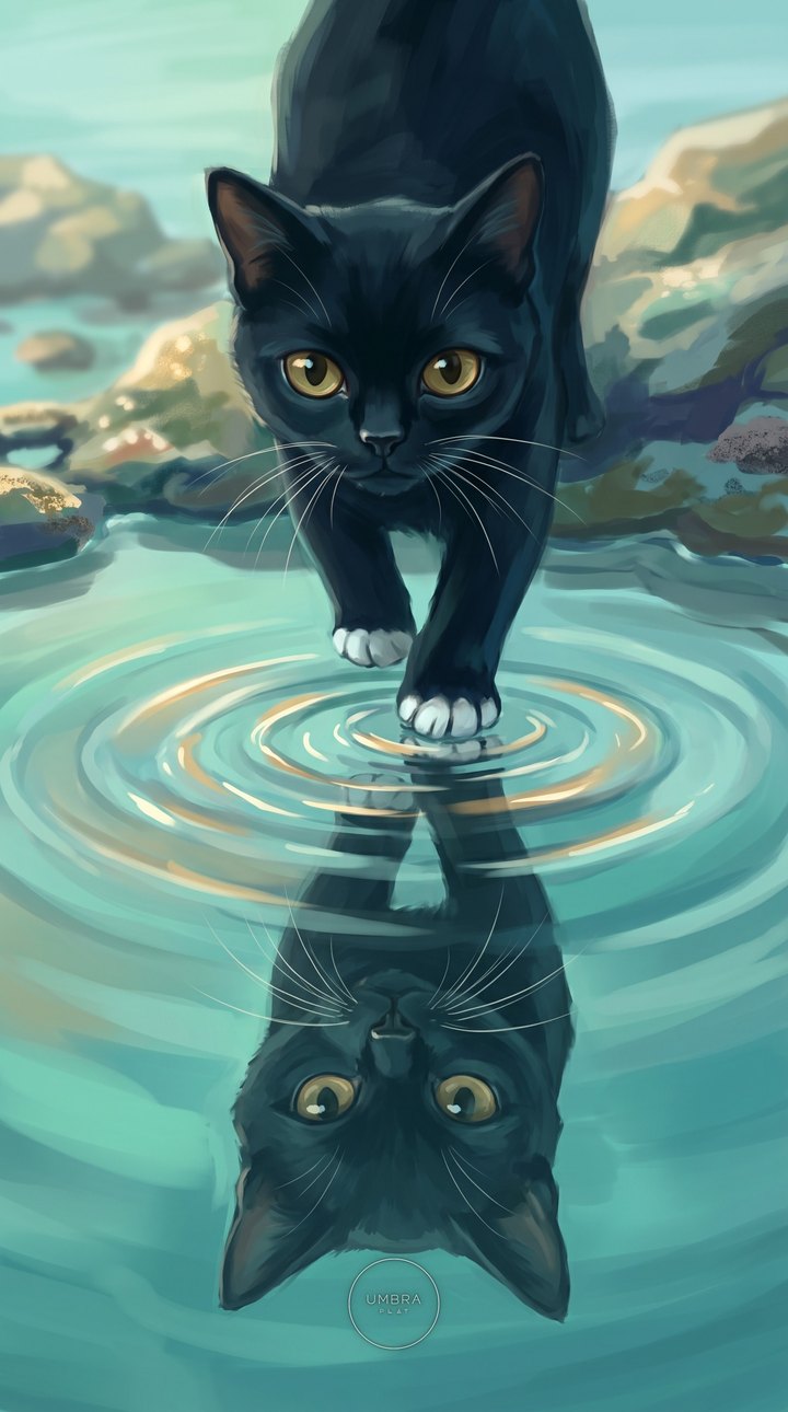 Tuxedo · Painted wallpaper